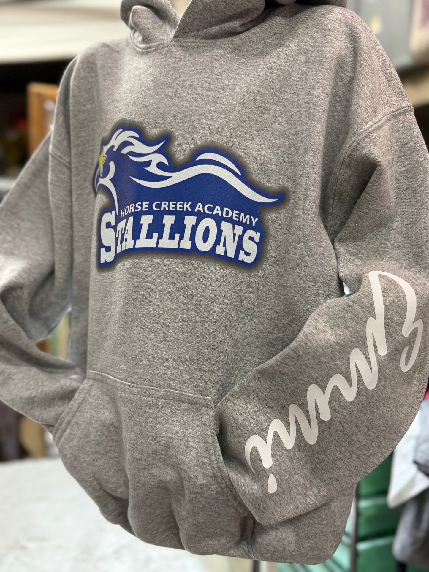 Stallions Hoodie