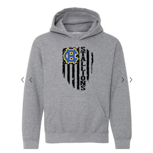 Stallions Flag Hoodie