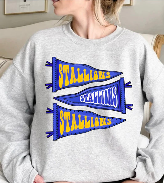 Stallions Blue flags sweatshirt/Crewneck