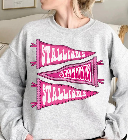 Stallions pink flags sweatshirt/Crewneck
